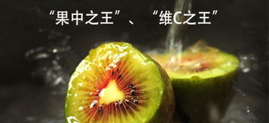 紅心獼猴桃合作社 現摘現發，開啟新鮮水果批發零售新體驗